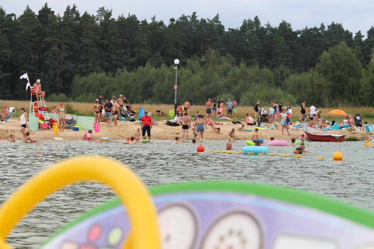 Biały łabędź Wilkow (Swietokrzyskie)