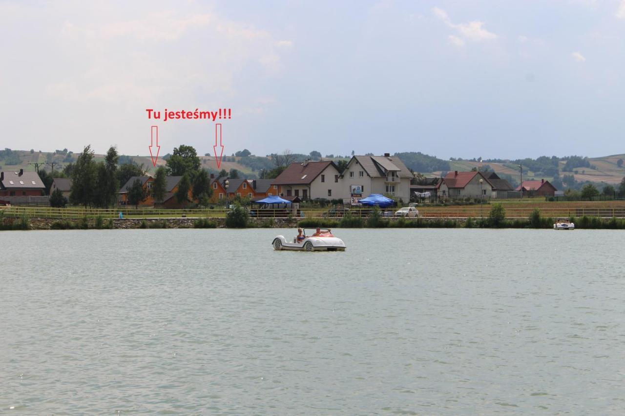 Biały łabędź *